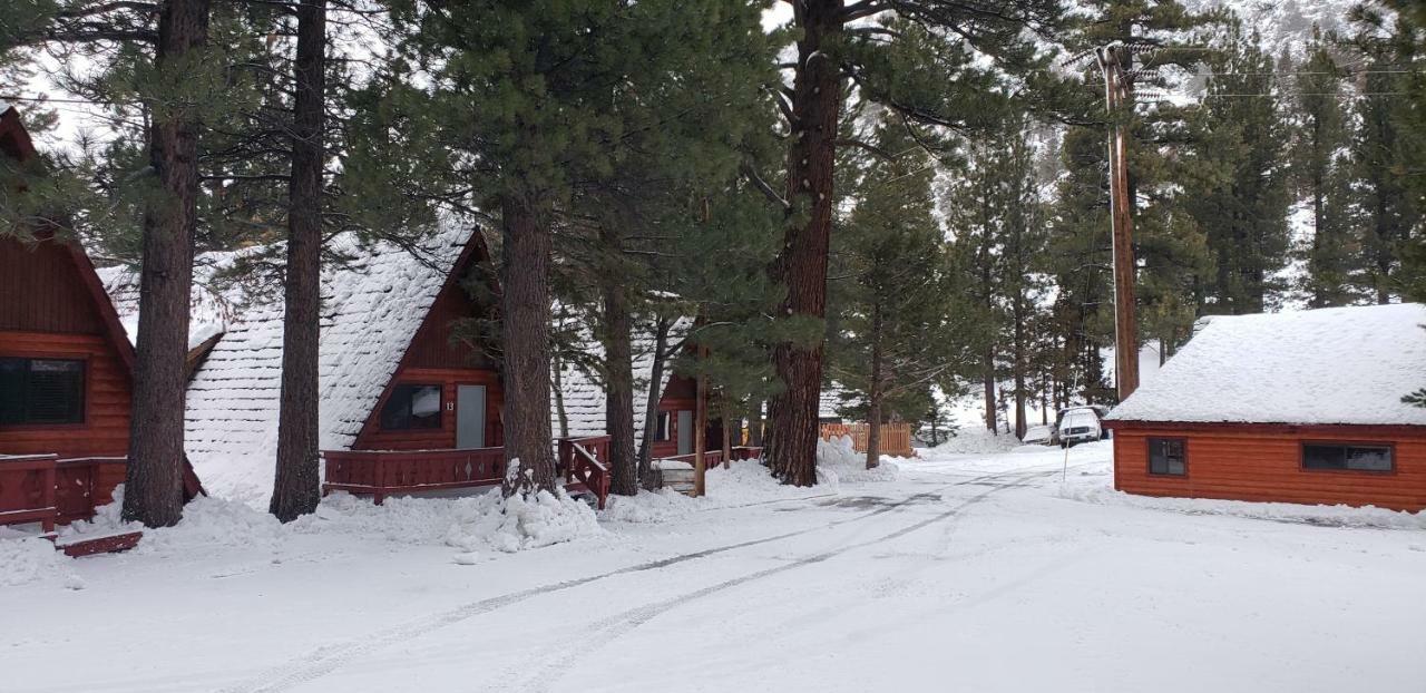 Reverse Creek Lodge June Lake Exteriör bild